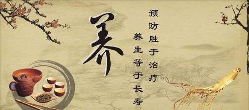 娱乐吃瓜酱中医养生小说,中医养生小说中的趣味人生