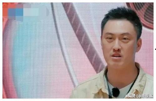 吃瓜直爆料娱乐圈,吃瓜直爆料，揭秘明星真实生活