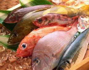 娱乐吃瓜酱养鱼,揭秘网红养鱼背后的趣味生活