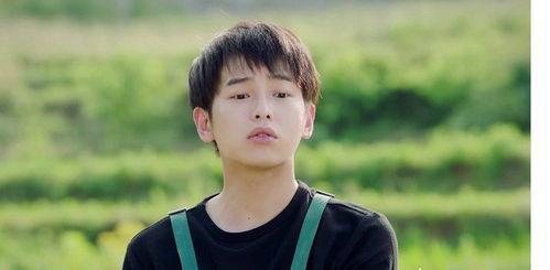 陈飞宇娱乐吃瓜解说,揭秘娱乐圈幕后故事