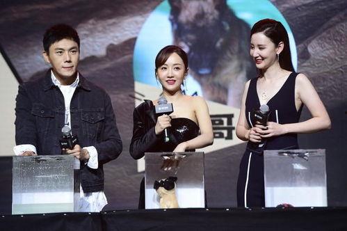 娱乐圈吃瓜综艺文推荐,明星幕后故事大揭秘，吃瓜综艺文推荐盘点